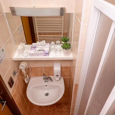 Junior 3* 波杰布拉迪