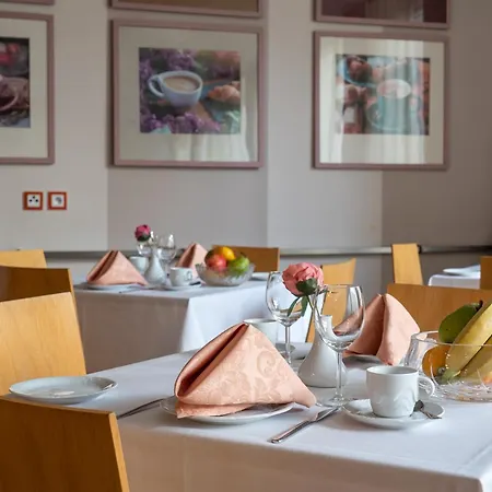 Junior מלון פודבראדי