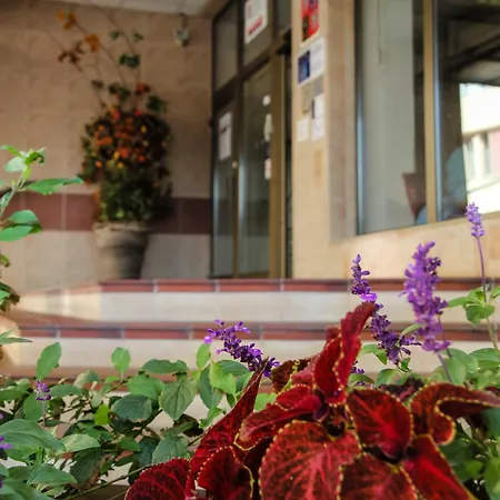 Junior מלון פודבראדי