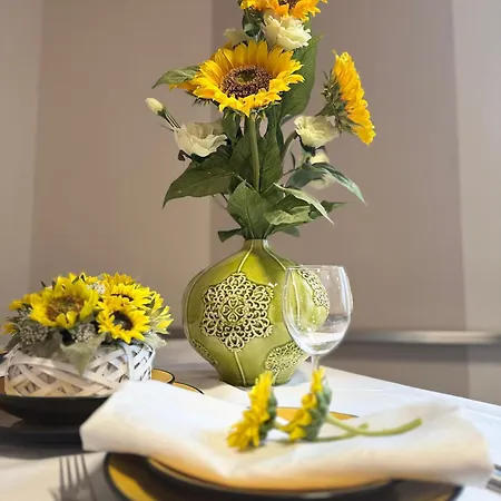 酒店 Junior 波杰布拉迪