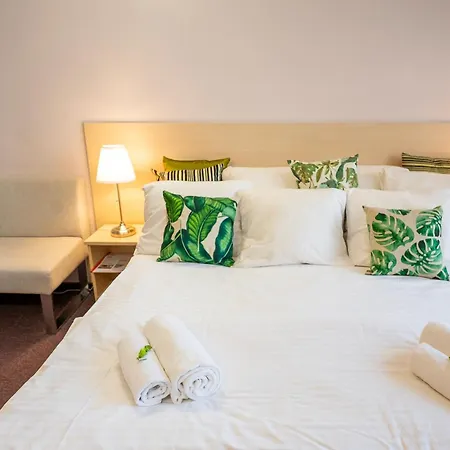 Junior 波杰布拉迪