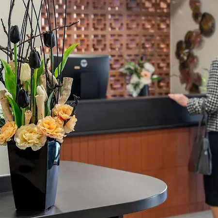 Junior 波杰布拉迪