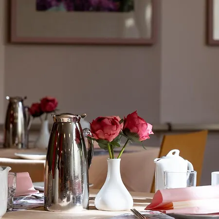 Junior 波杰布拉迪