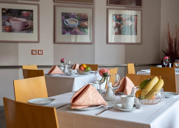 Junior מלון פודבראדי