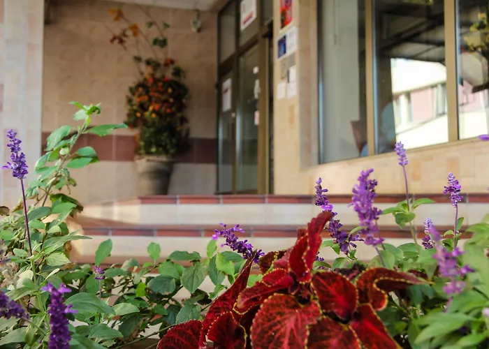 Junior מלון פודבראדי