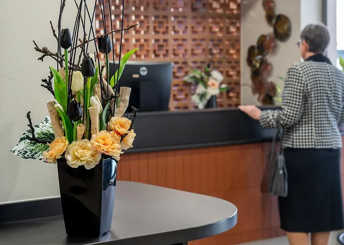 Junior פודבראדי