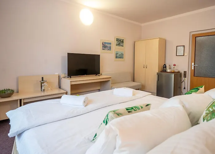 מלון Junior פודבראדי